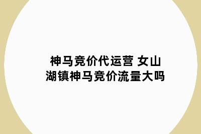 神马竞价代运营 女山湖镇神马竞价流量大吗